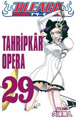Bleach Cilt 29