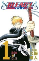 Bleach Cilt 1