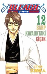 Bleach Cilt 12