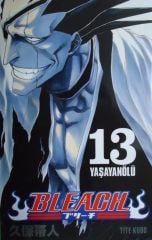 Bleach Cilt 13