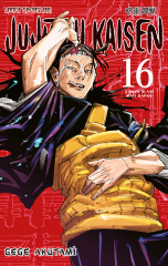 Jujutsu Kaisen Cilt 16