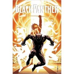 Black Panther: A Nation Under Our Feet Book 2