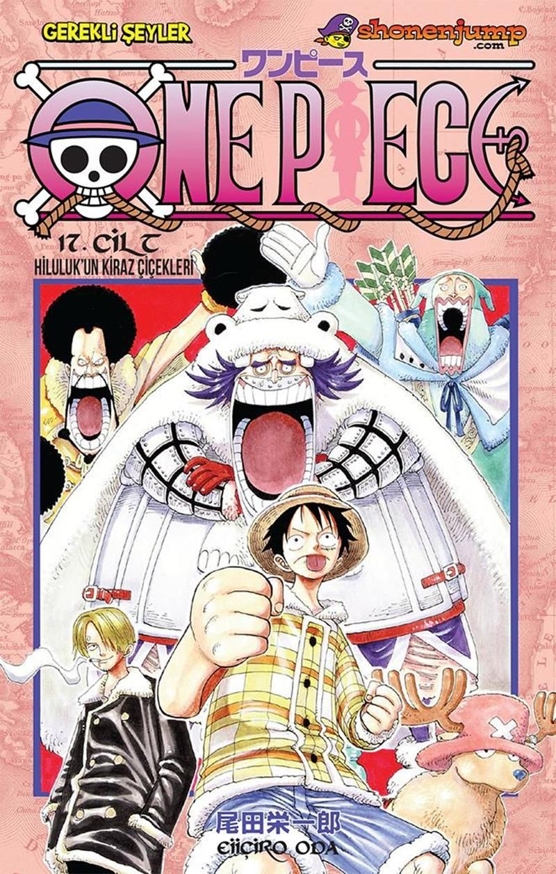 One Piece Cilt 17