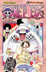 One Piece Cilt 17