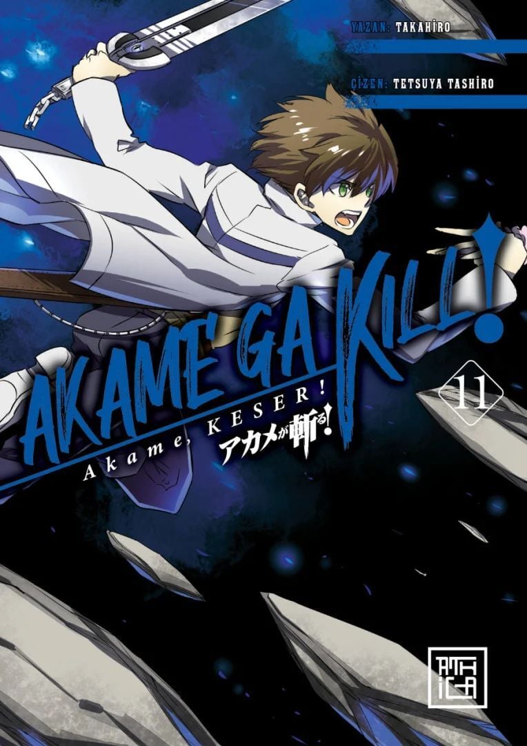 Akame Keser Cilt 11