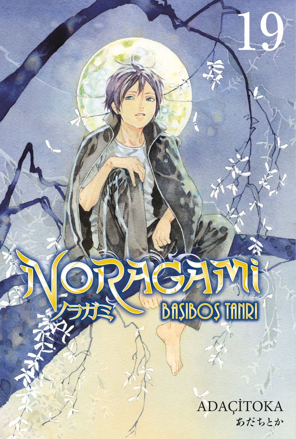 Noragami Cilt 19