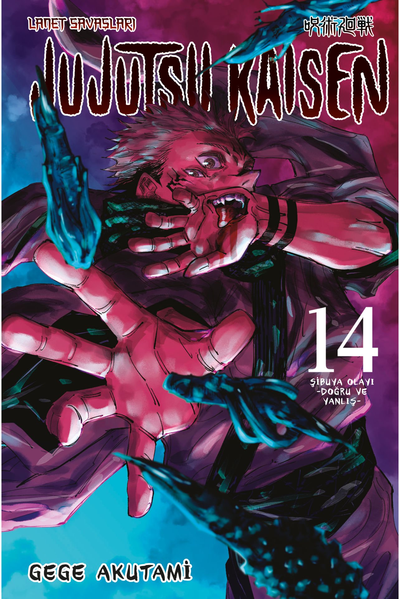 Jujutsu Kaisen Cilt 14