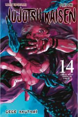 Jujutsu Kaisen Cilt 14