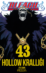 Bleach Cilt 43