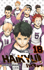 Haikyu! Cilt 18
